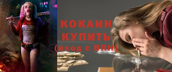 дживик Баксан