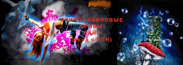молекула духа Беломорск