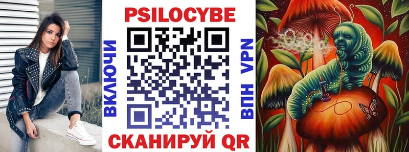 сколько стоит  Лосино-Петровский  Псилоцибиновые грибы мухоморы 